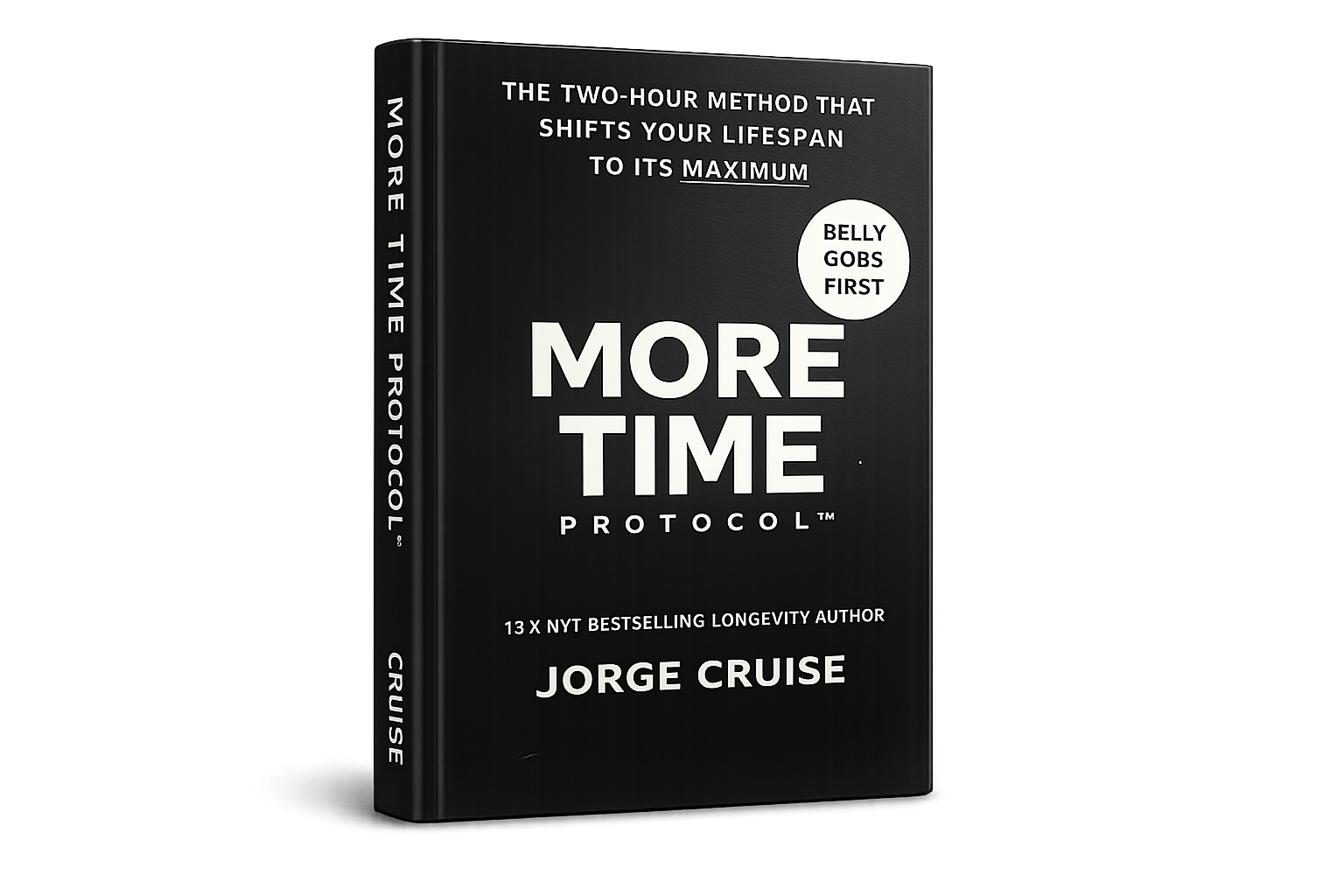 MORE TIME PROTOCOL book cover